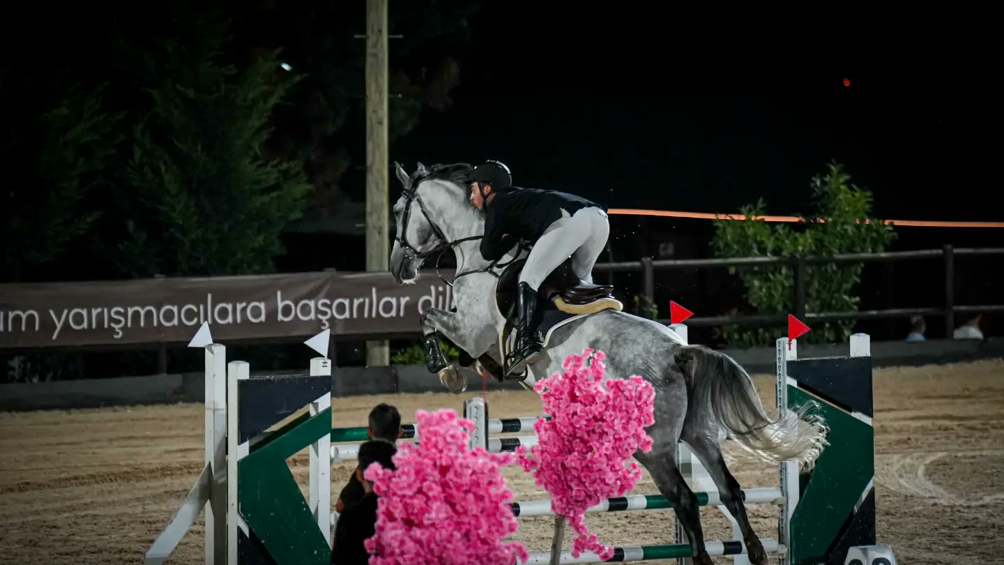 Gece, pembe çiçekli engelin üstünden atlayan kır at ve binicisi